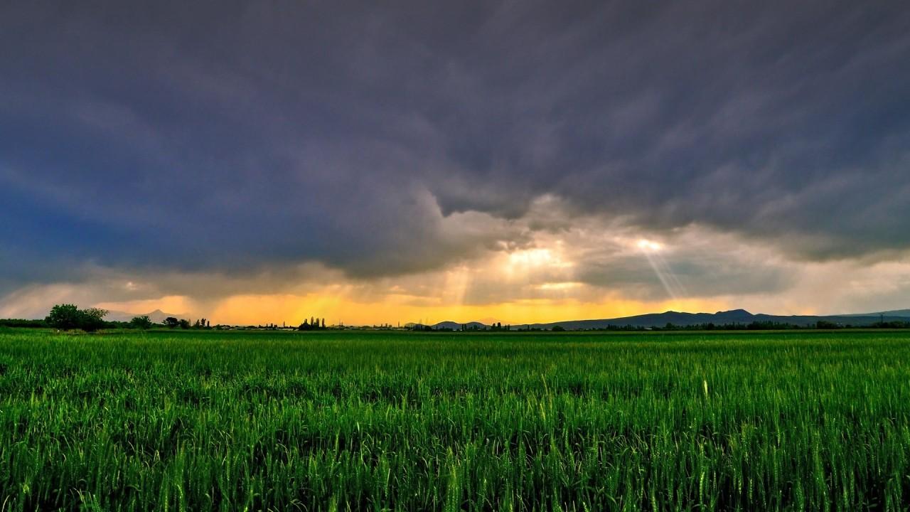 Avem nevoie de o abordare sistemică a ecosistemului agricol, pentru a evita un tsunami în 2025 Avem nevoie de o abordare sistemică a ecosistemului agricol, pentru a evita un tsunami în 2025