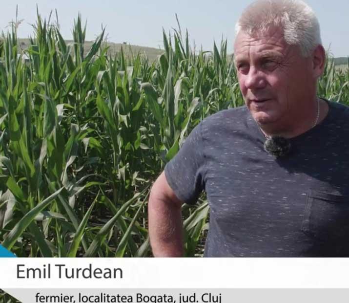 Emil Turdean, partener Agricover din Cluj, mândru de cultura impecabilă de grâu