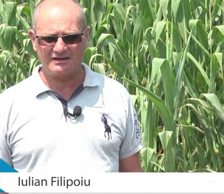 Iulian Filipoiu, partener Agricover din Ialomița, despre impactul produselor fitosanitare în cultura de floarea soarelui